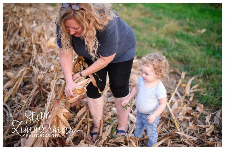 szp_bognerharvest2016-3